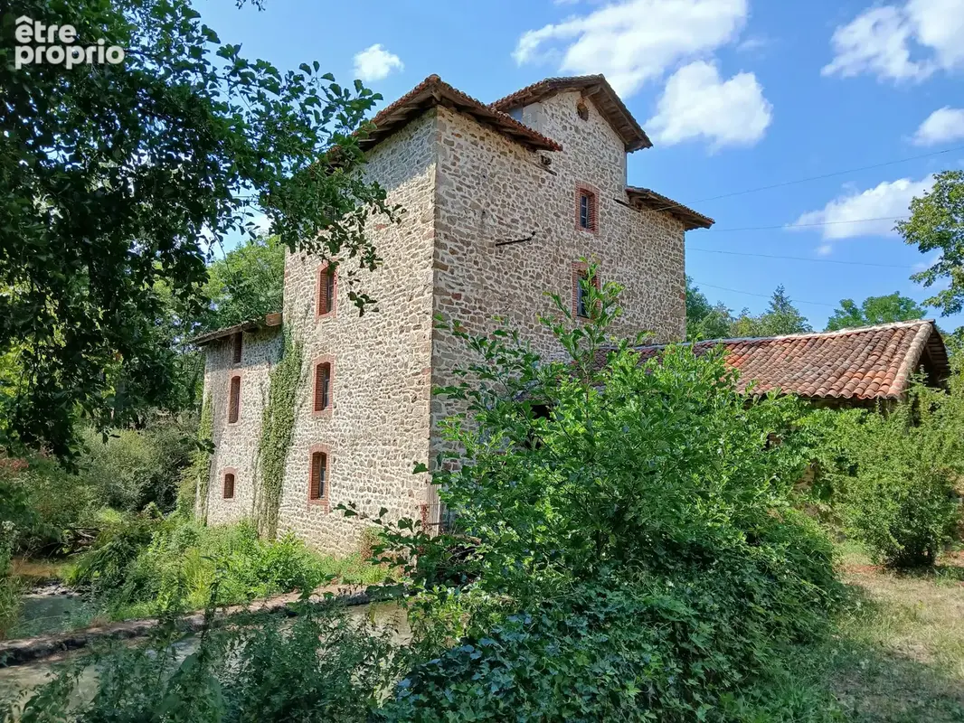 Charmant moulin historique avec caractère à Gorre - photo 1
