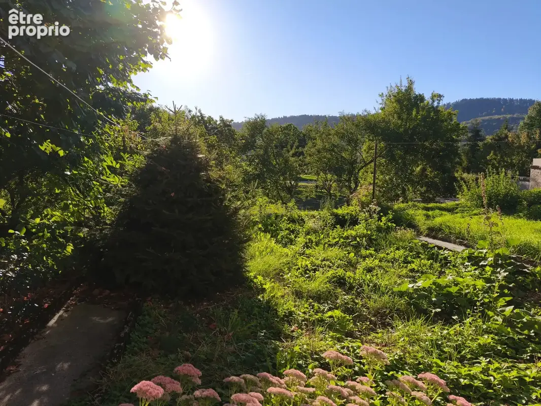 maison en pierre avec terrain de 2100m2 - photo 2
