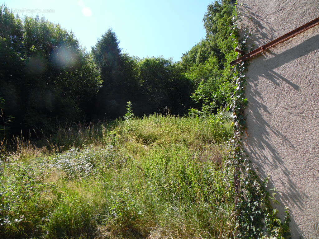 SENONES (Vosges) garage sur deux niveaux - photo 4