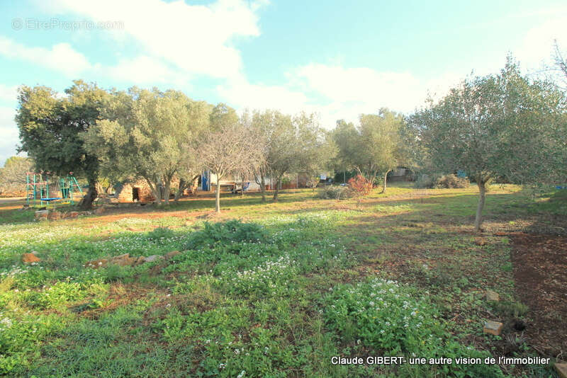 Maison à BALARUC-LE-VIEUX