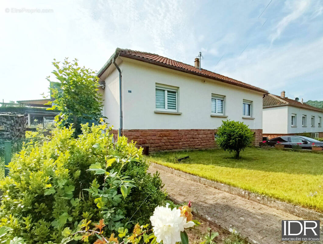 Maison à WINGEN-SUR-MODER