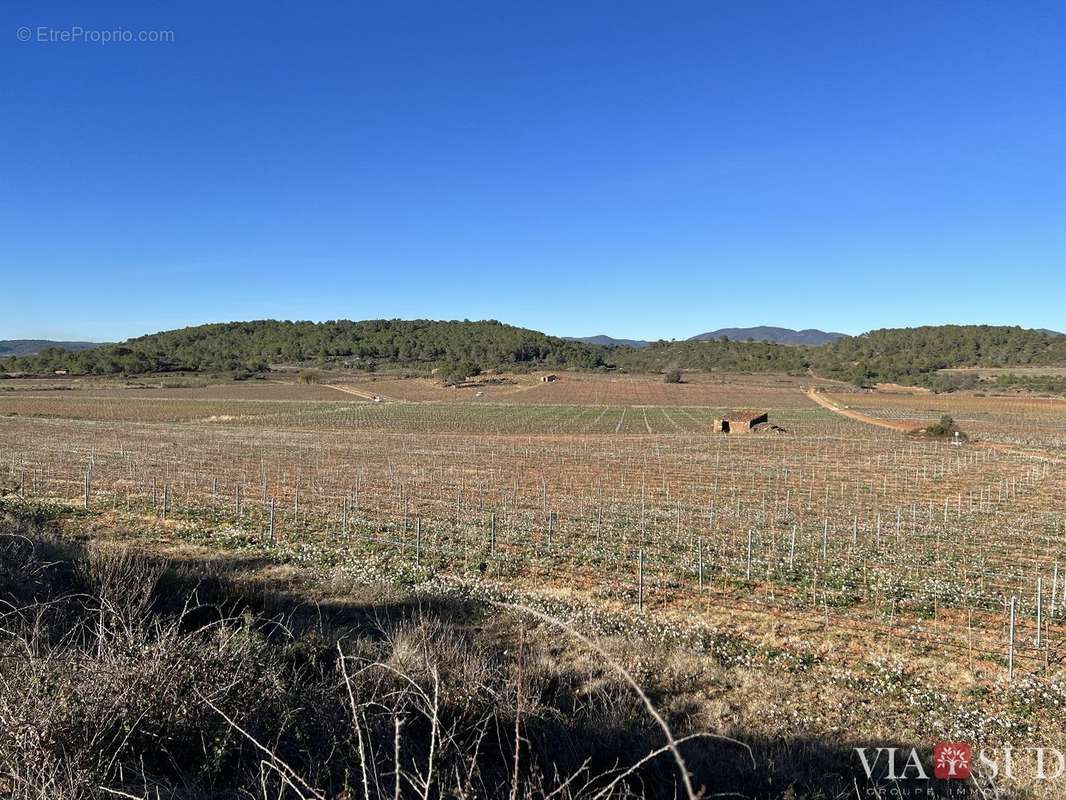 Maison à SAINT-CHINIAN