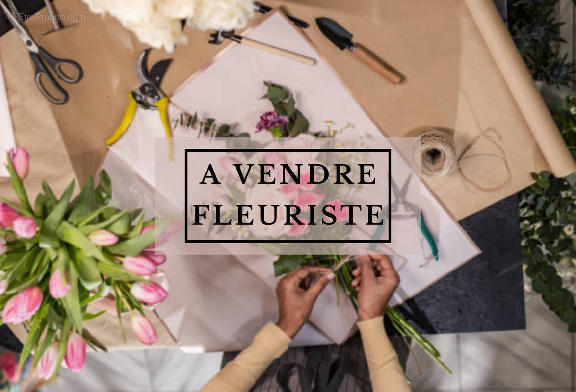 Commerce à LUNEVILLE