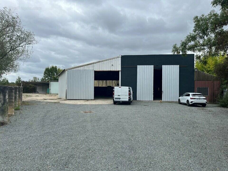 Commerce à SAINTE-EULALIE