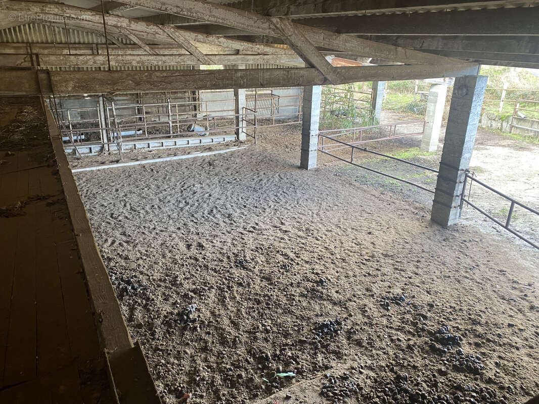 Terrain à SAINT-JUST-SAINT-RAMBERT