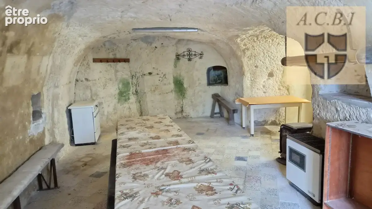Naveil - maison avec caves troglodytiques, garage et grand terrain - photo 10