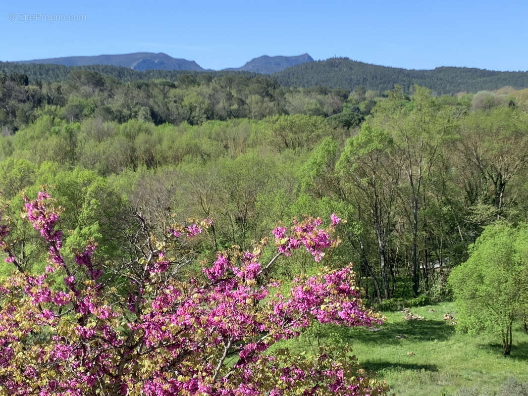 Exclusivité - Le Val - Bastide familiale au charme méditerranéen sur une oliveraie - - photo 18