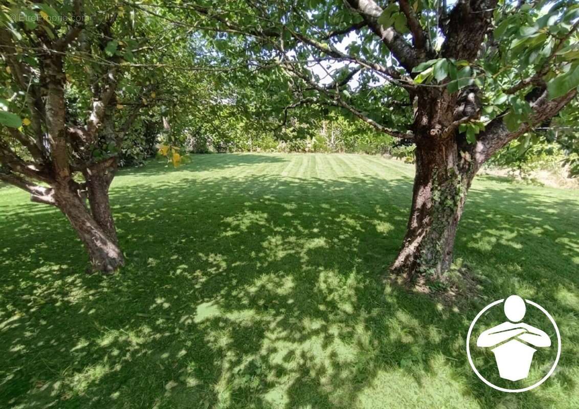 Vente Terrain Roquefort(47310) 65 000ï¿œ - photo 5