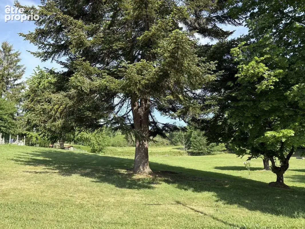 Photo Terrain à Saint-Sauveur au prix de 35 000€