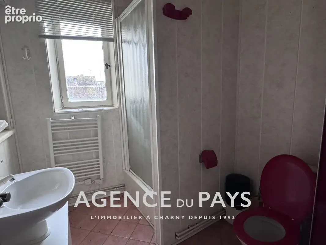 CHARNY CENTRE VILLE proche tous commerces - photo 8
