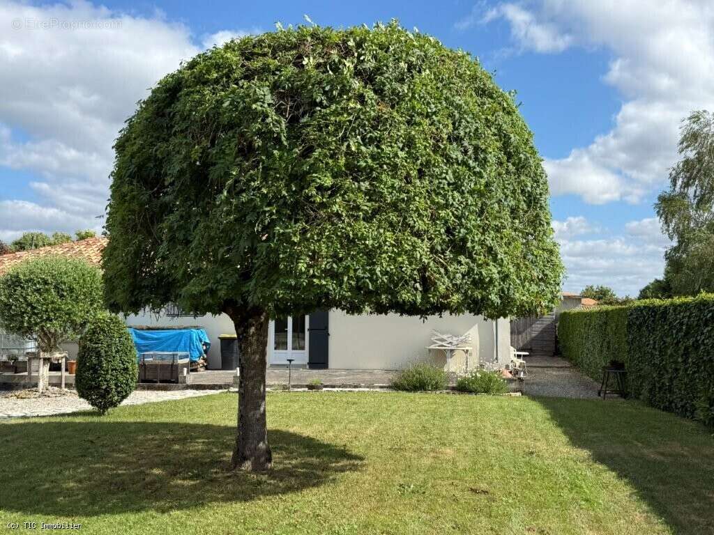 Maison à VERTEUIL-SUR-CHARENTE