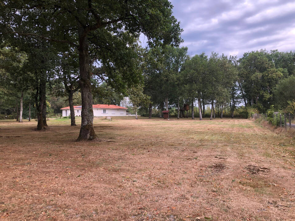Terrain à SAINT-JEAN-D'ILLAC