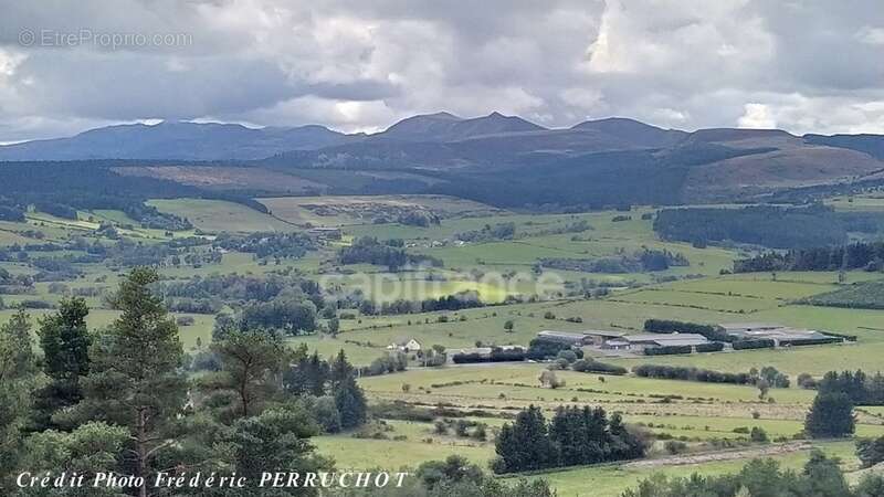 Commerce à CLERMONT-FERRAND