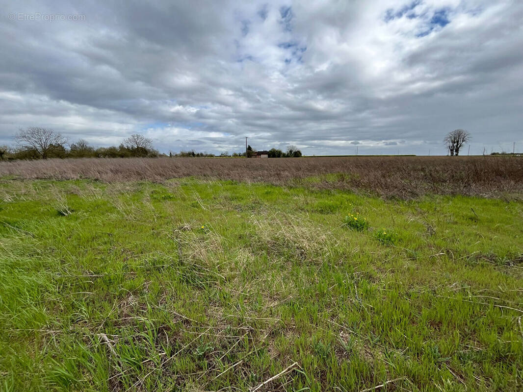 Terrain à POUGY