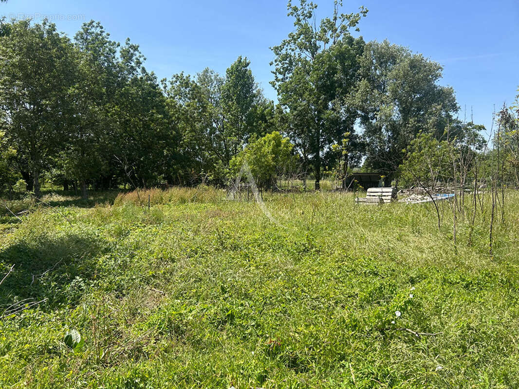 Terrain à bâtir LA TAILLÉE - photo 2