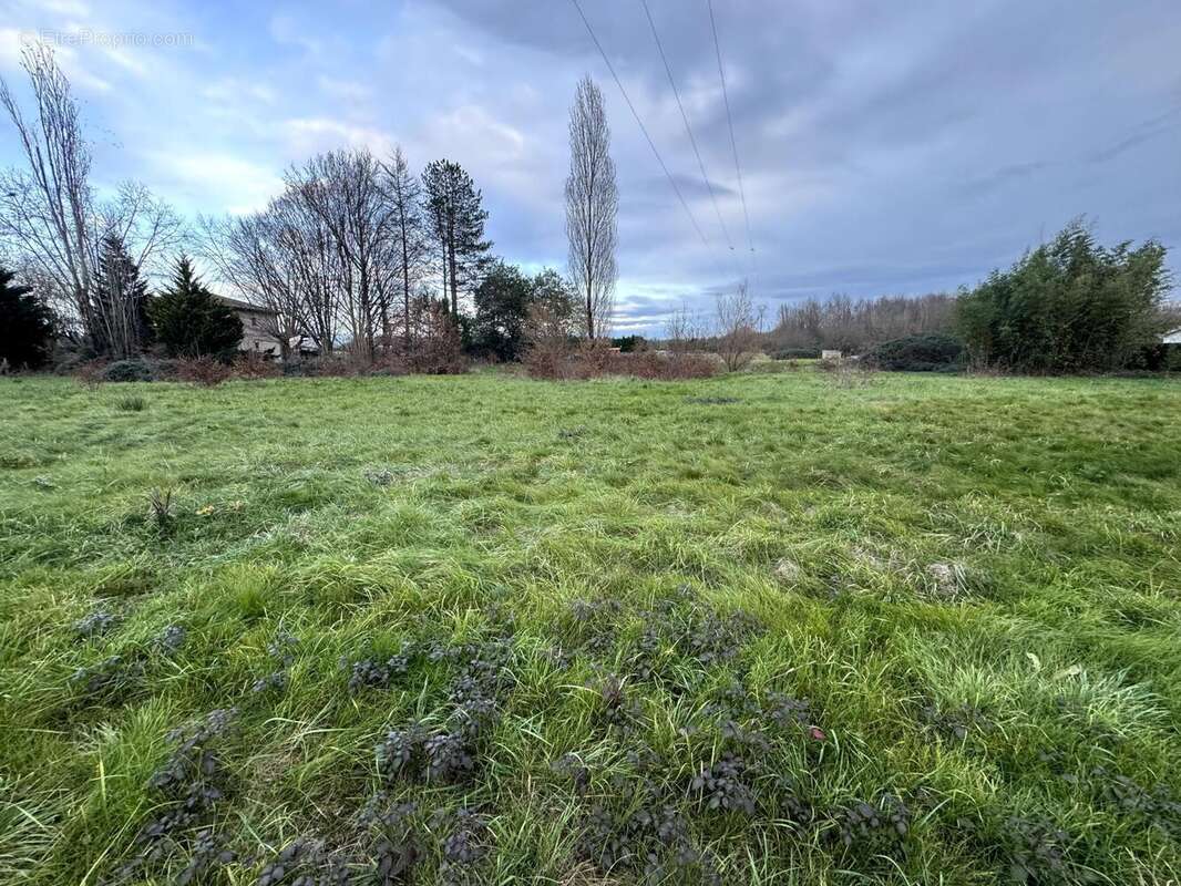 Terrain 1505 m² à Saint-Sylvestre-Sur-Lot  - photo 3
