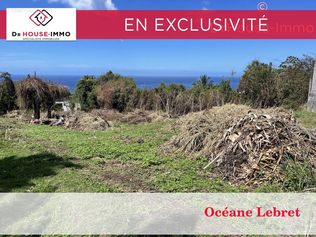 Terrain à VIEUX-HABITANTS