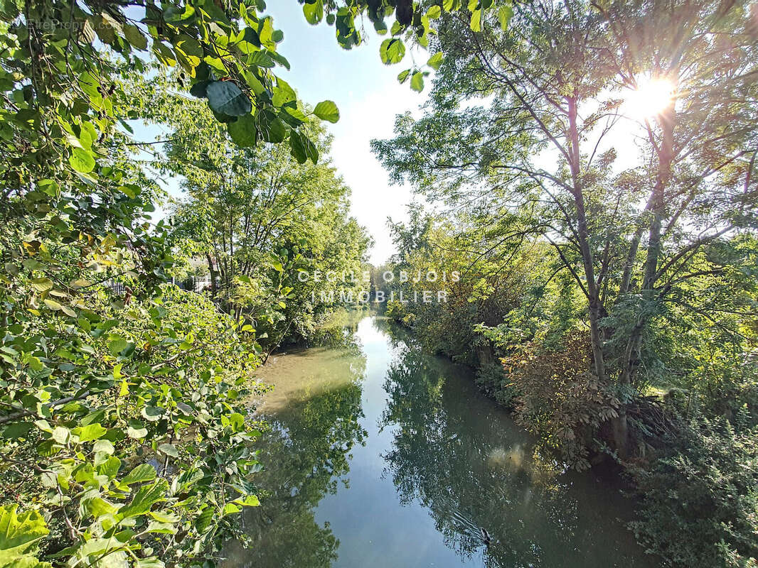 Terrain à JOINVILLE-LE-PONT