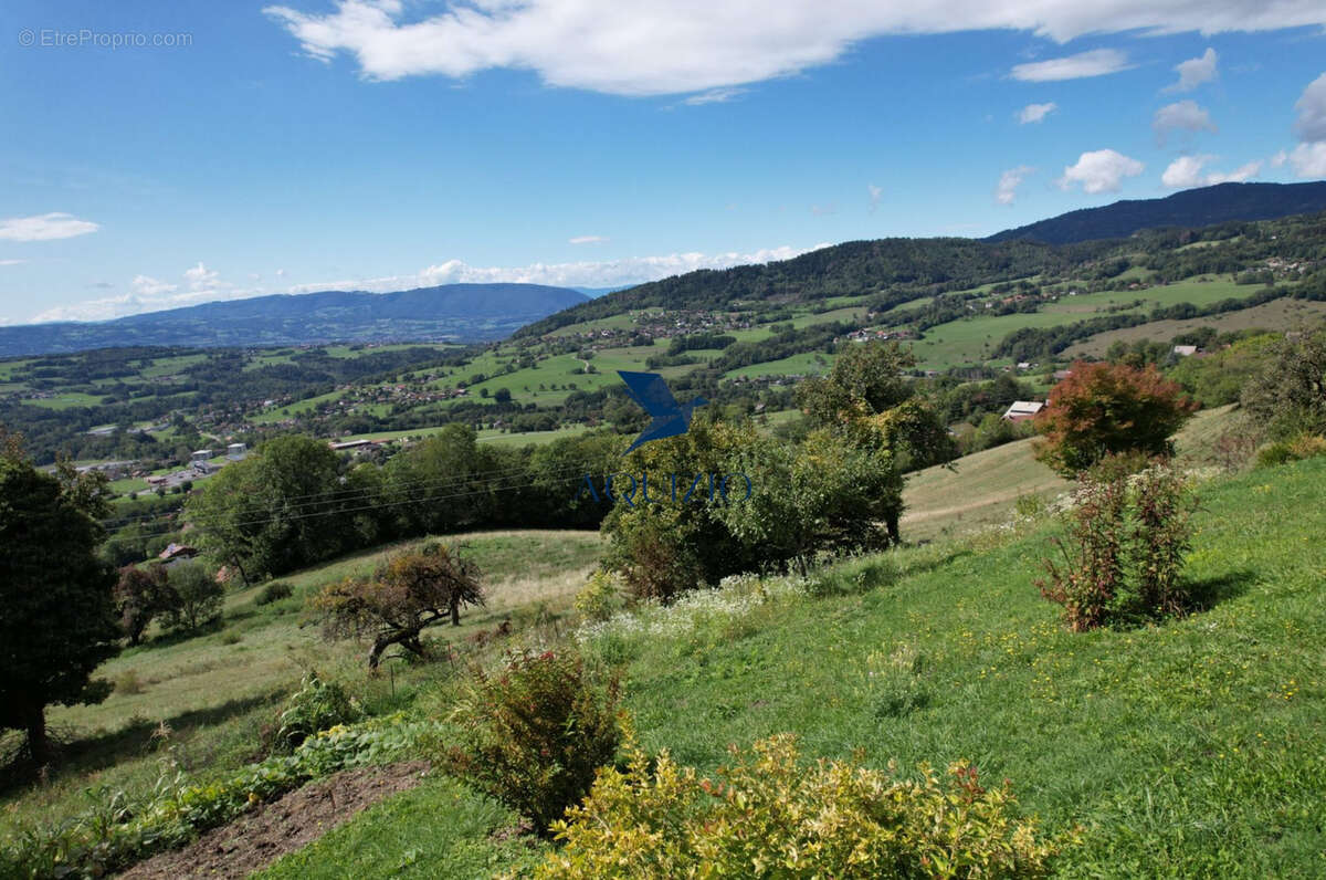 Maison à VIUZ-EN-SALLAZ