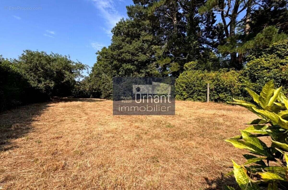 Grand terrain constructible libre de constructeur  1150m² – - photo 2