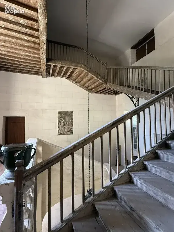 Château historique sur 19,5 hectares - photo 11