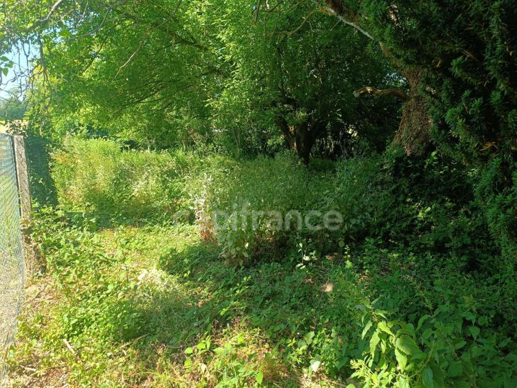 Maison à vendre 5 pièces  (89) - photo 30