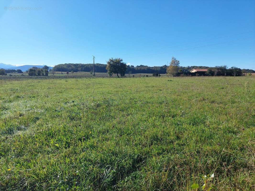 20241024114116 - Terrain à SALIES-DU-SALAT