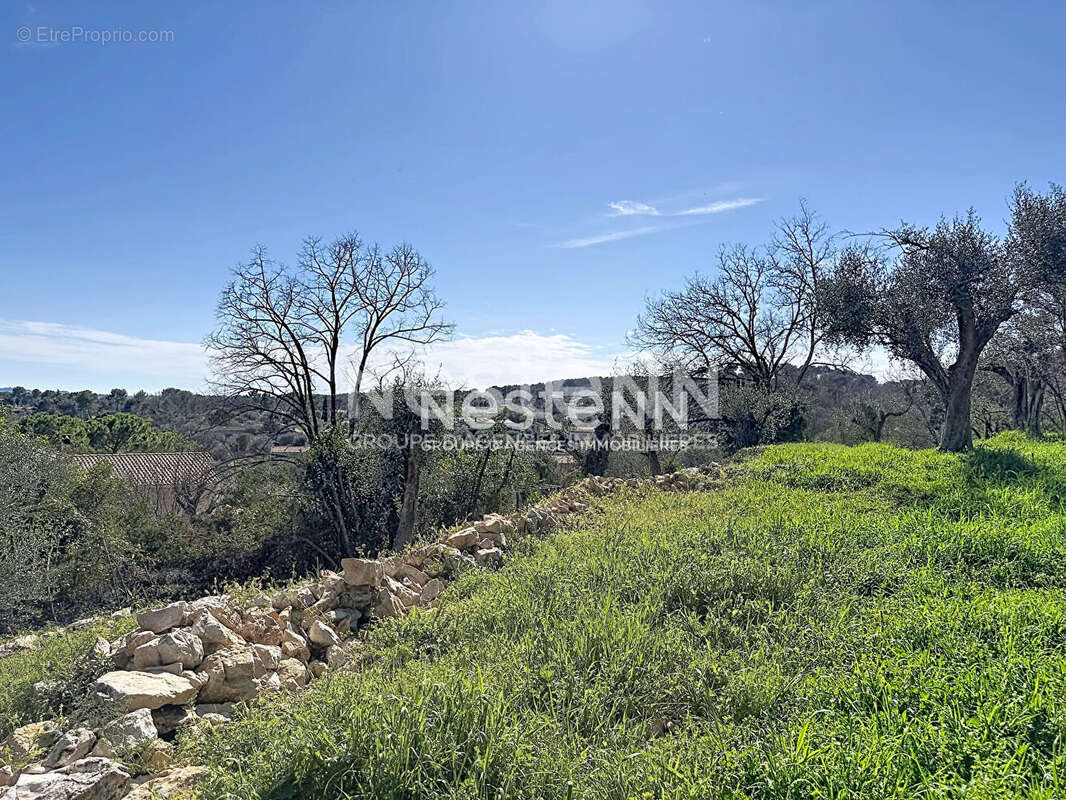 Terrain constructible 1788m2 - exposé plein sud - Roquefort les pins - photo 5