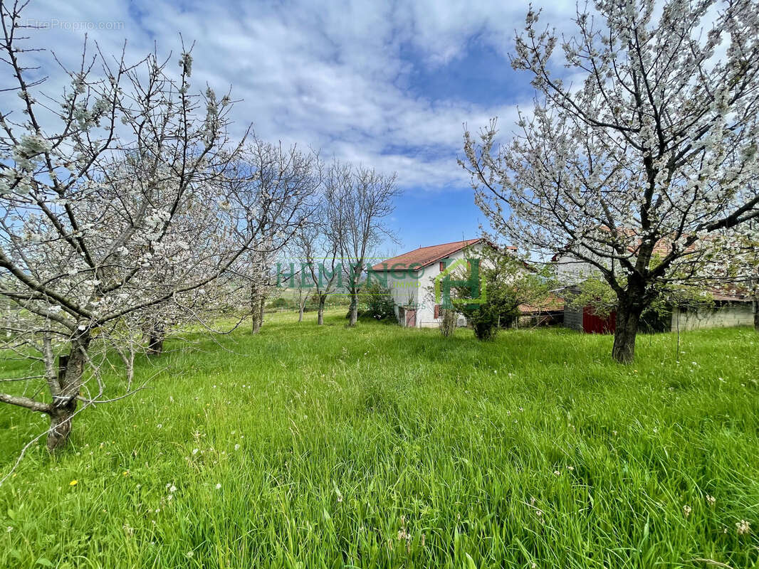 Authenticité, charme et potentiel sur un vaste domaine de plus de 6 hectares - photo 2