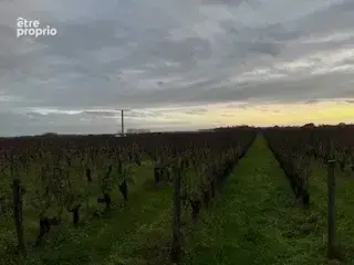 Terrain à CRAVANT-LES-COTEAUX