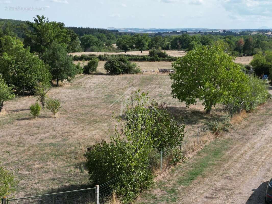 Terrain à MONESTIER