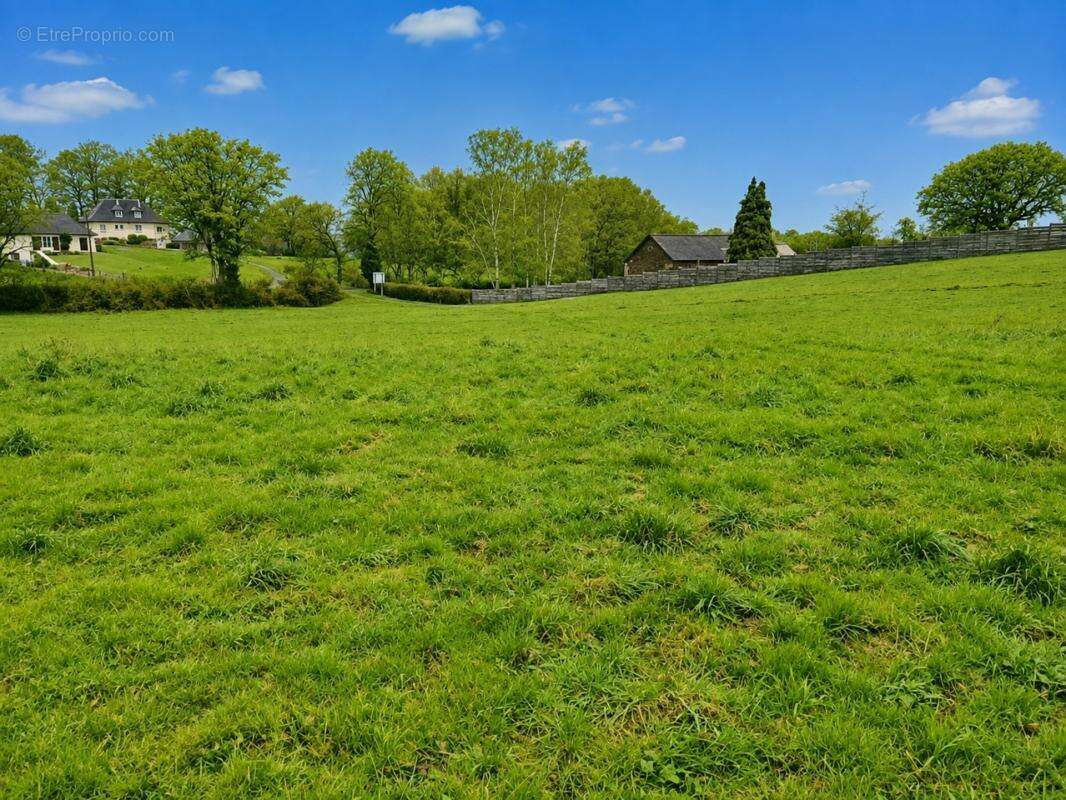 Seilhac ,  terrain plat et viabilise - photo 2