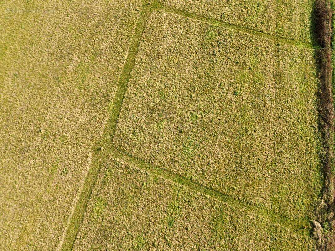 Terrain à SAUVETERRE-DE-BEARN