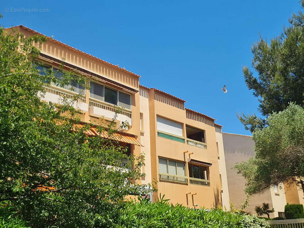 Bord De Mer +Appartement  4 pièces + Terrasse  *  (83430) Saint-Mandrier-sur-Mer - photo 15