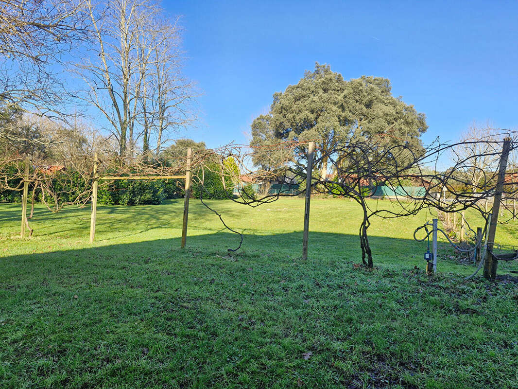 Maison à SAINT-MICHEL-ESCALUS