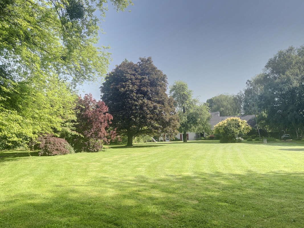Superbe propriété entre ABBEVILLE et LE TREPORT - photo 26