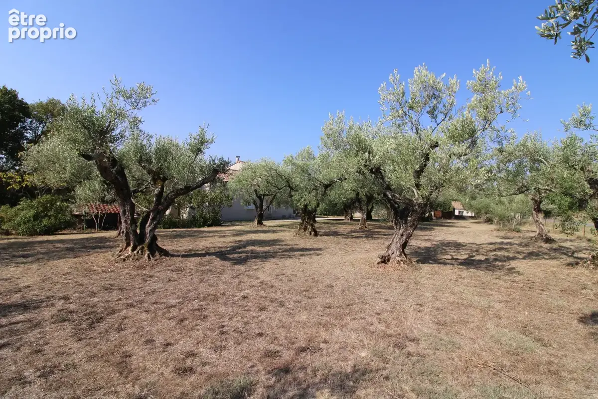 Villa 170 m2 Terrain  7000 m2 VUE DEGAGEE. - photo 7