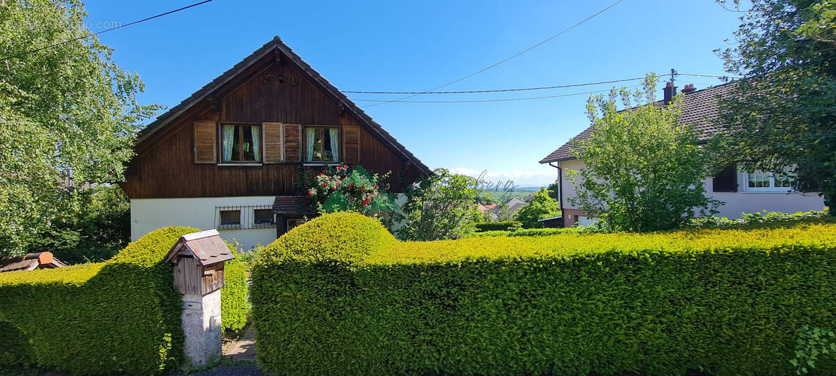 Maison à FERRETTE