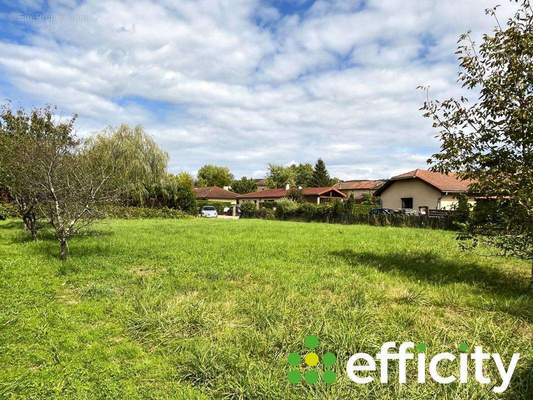 Terrain à VILLEREVERSURE