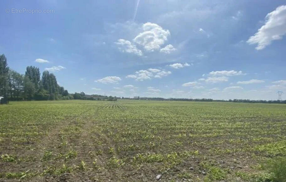 Terrain à WAHAGNIES