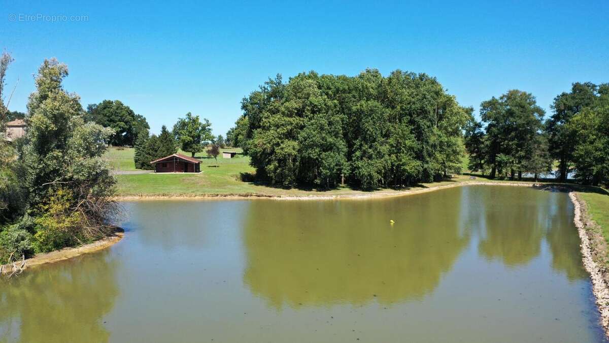 Photo 3 - Terrain à BAGE-LA-VILLE