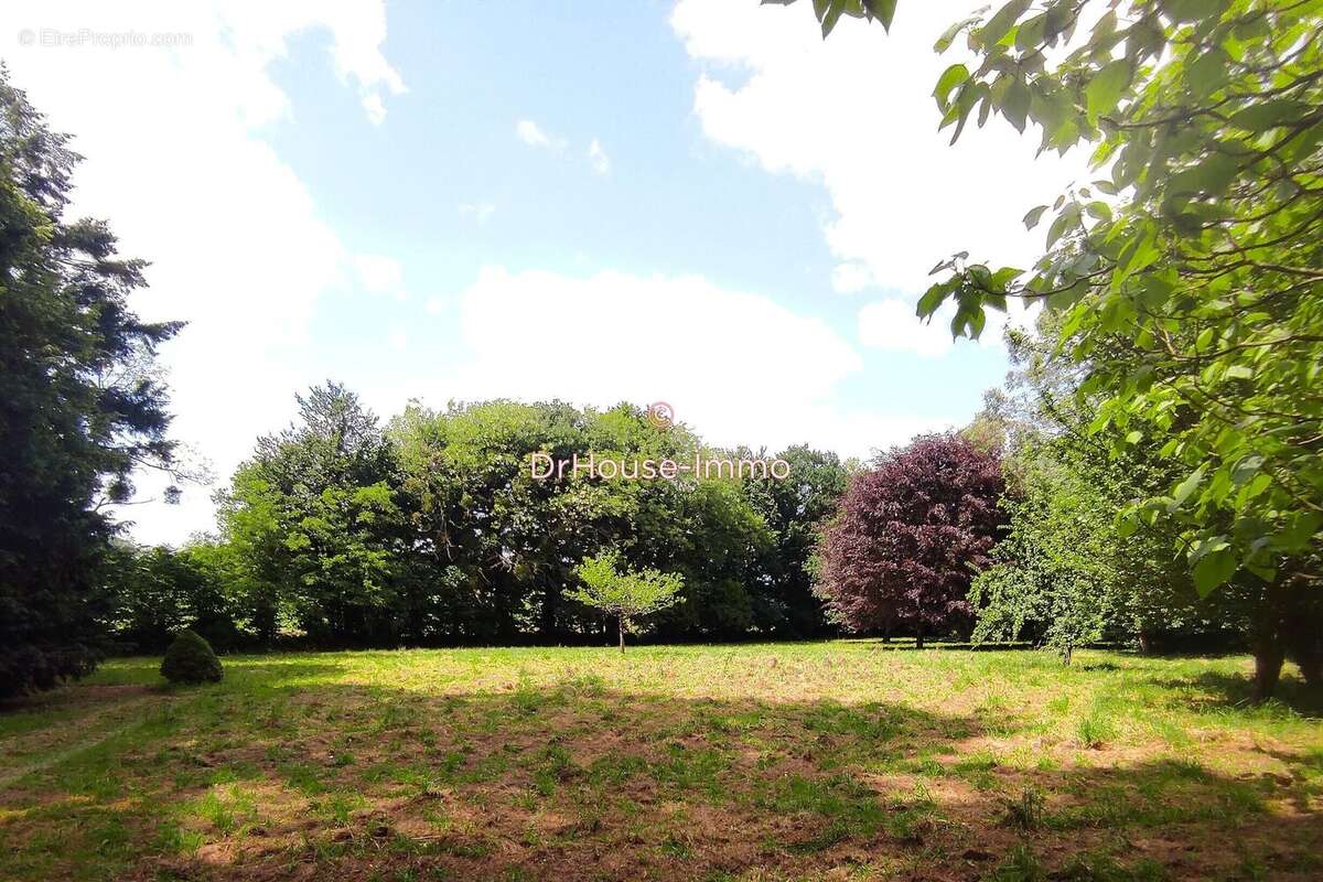 300 m² à Moustoir-Remungol  - photo 7