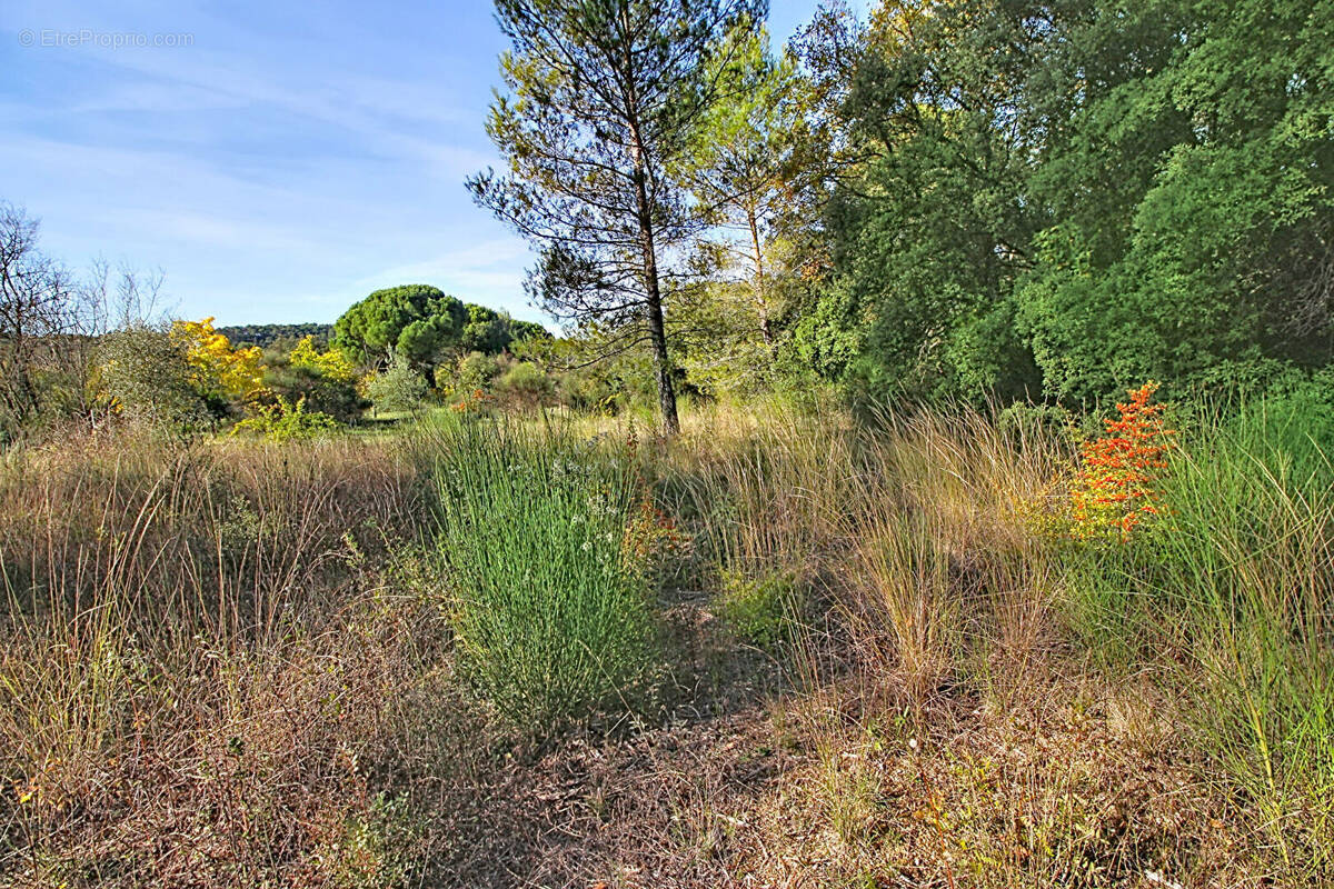 Terrain à SAINT-ANTONIN-DU-VAR