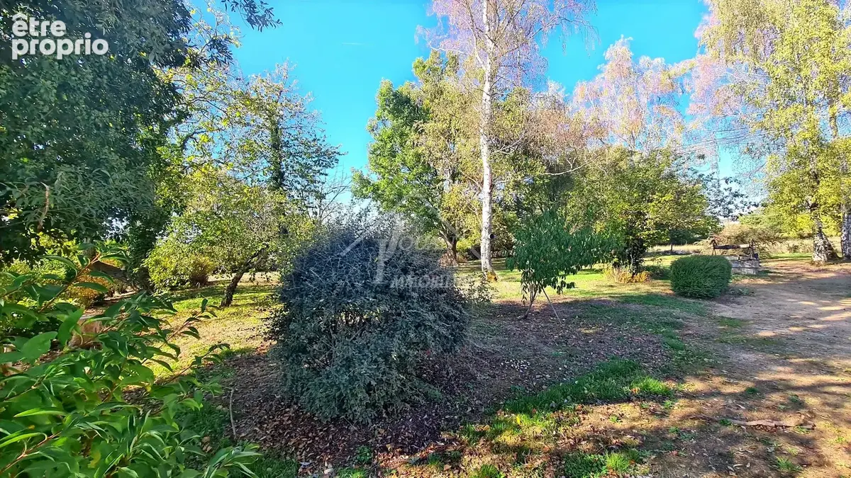 Belle longère de plain-pied sur 2 hectares avec grande dépendance, à Bourbon-l’Archambault - photo 11