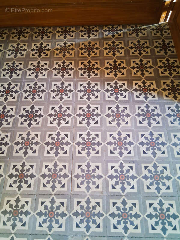 Maison à OUZOUER-SUR-TREZEE