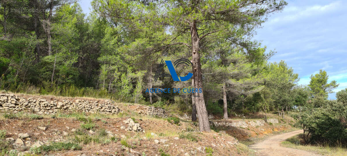 Terrain à SOLLIES-TOUCAS