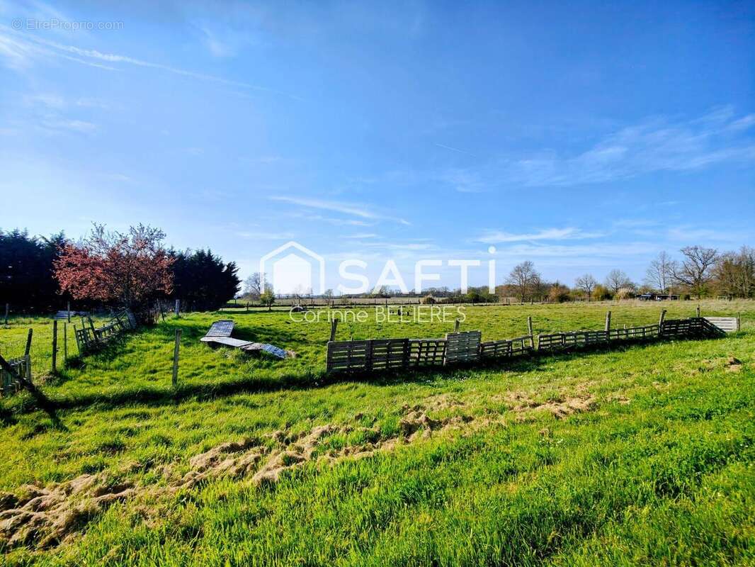 Photo 5 - Maison à LA VILLE-DIEU-DU-TEMPLE