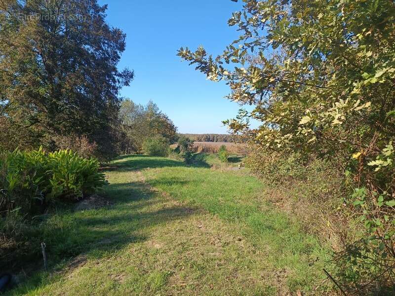 Maison à MONLEZUN-D&#039;ARMAGNAC
