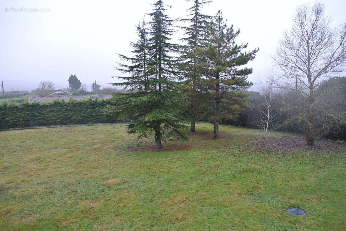 Photo 3 - Terrain à BELLEGARDE-SAINTE-MARIE