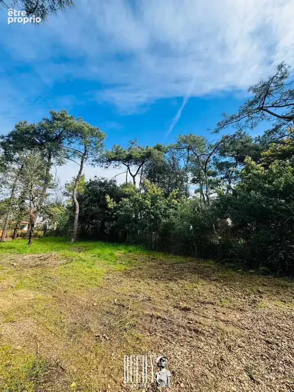 Terrain constructible d'exception - photo 2